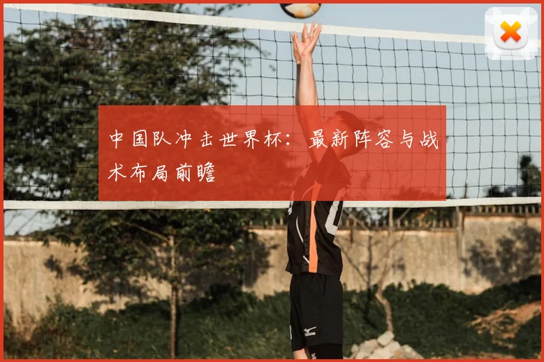 中国队冲击世界杯：最新阵容与战术布局前瞻